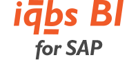 iqbs-bi-sap-logo-02