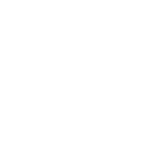 siemens-w